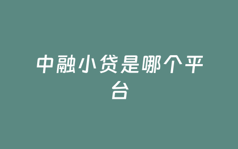 中融小贷是哪个平台