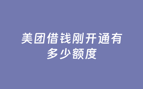 美团借钱刚开通有多少额度