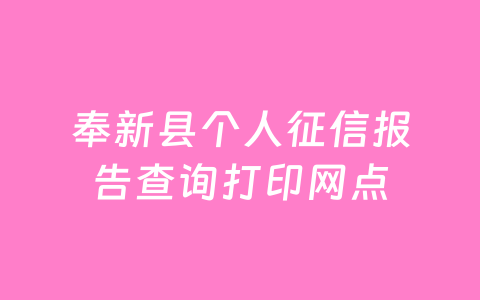 奉新县个人征信报告查询打印网点