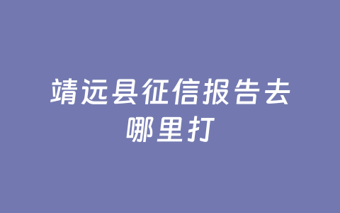 靖远县征信报告去哪里打
