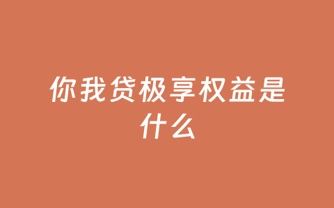 你我贷极享权益是什么
