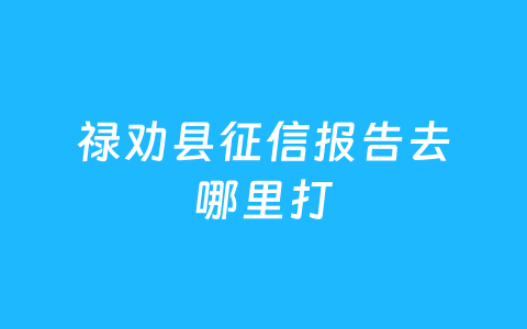 禄劝县征信报告去哪里打
