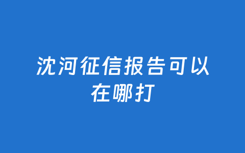 沈河征信报告可以在哪打