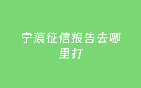 宁蒗征信报告去哪里打