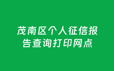 茂南区个人征信报告查询打印网点