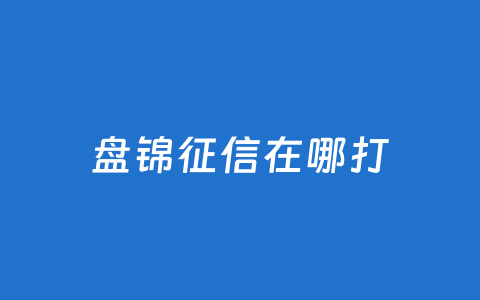 盘锦征信在哪打