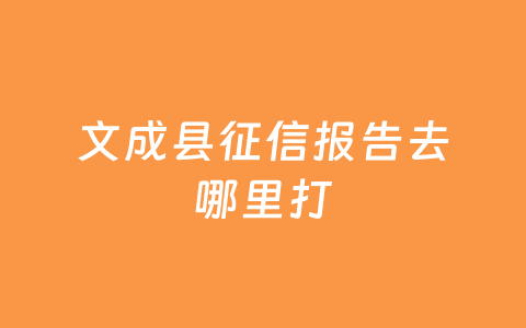 文成县征信报告去哪里打