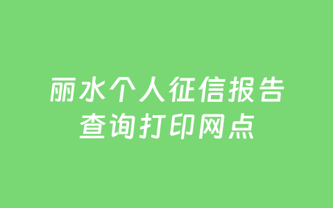 丽水个人征信报告查询打印网点