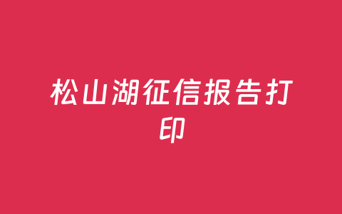 松山湖征信报告打印