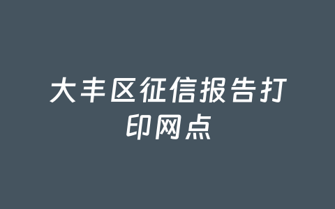 大丰区征信报告打印网点