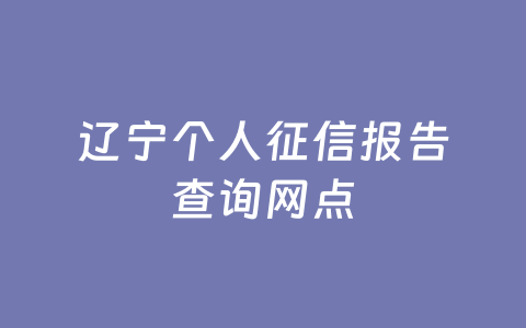 辽宁个人征信报告查询网点