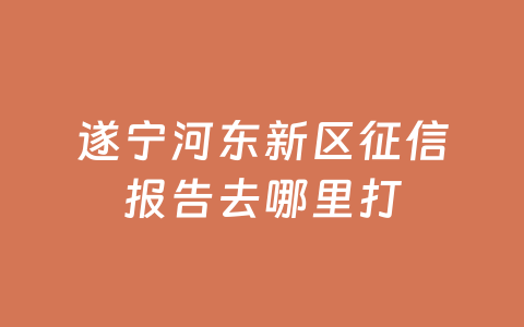 遂宁河东新区征信报告去哪里打