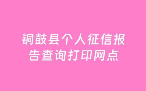 铜鼓县个人征信报告查询打印网点
