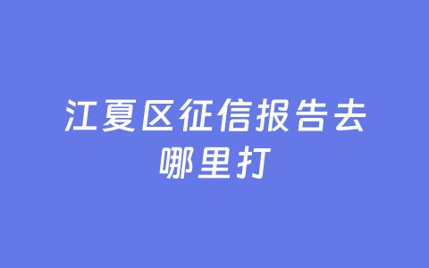 江夏区征信报告去哪里打